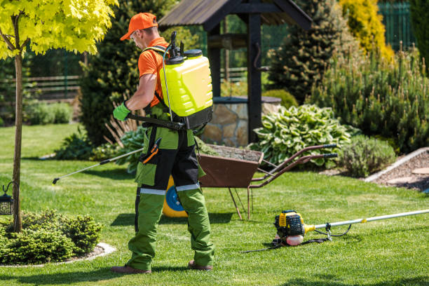 Best Lawn Pest Control  in Palmdale, CA